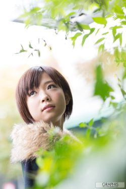 鳄鱼邓迪