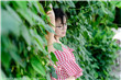 乡村老尸下载