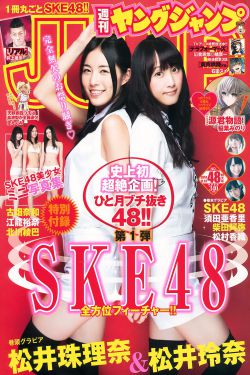 拾遗居神女应无恙
